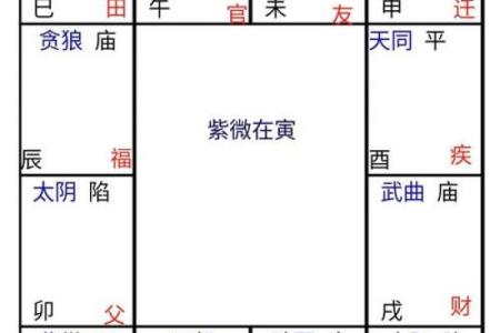 2025年4月21日巳时女命紫微斗数全解盘