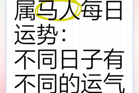 2026年属马人的全年运势_2026年属马人全年运势解析运程吉凶与每月指南
