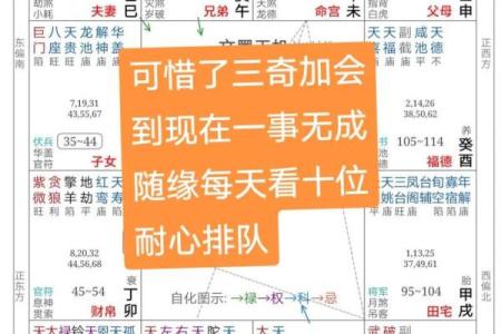 2025年4月5日午时男命紫微斗数全解盘