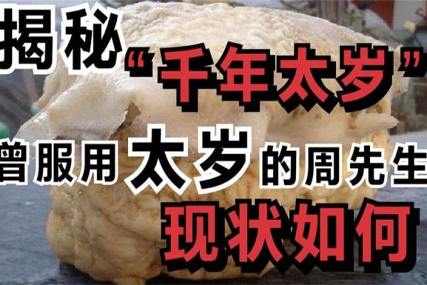 初八能动土吗