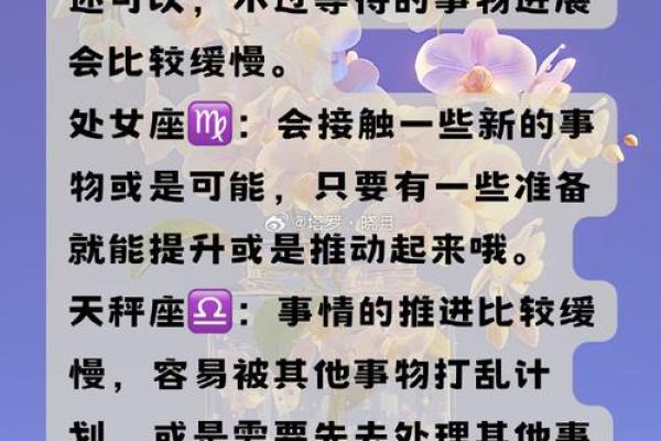 双子女2025全年运势如何(双子女2025全年运势如何)