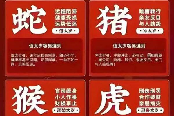 1996年属鼠的人2025年运势