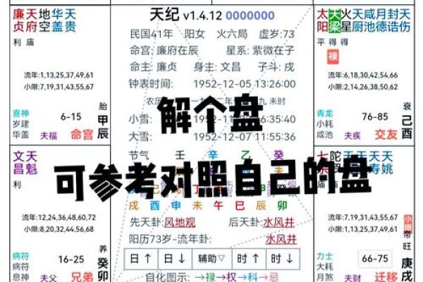 2025年4月10日未时男命紫微斗数全解盘