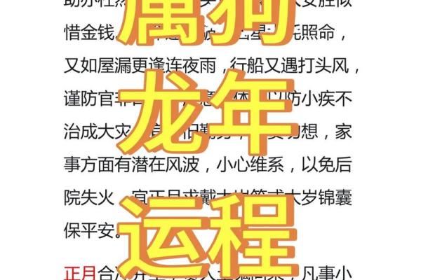 属狗人2025年全年运势详解 属狗人2024年全年运势详解