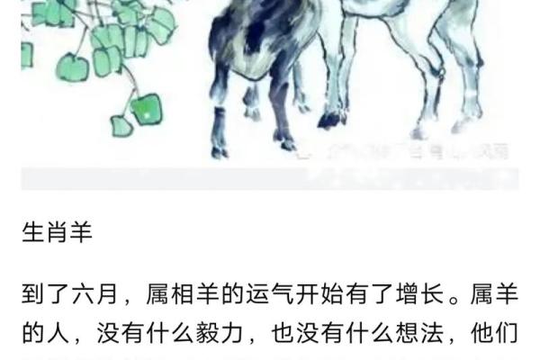 云淡风轻打一个生肖