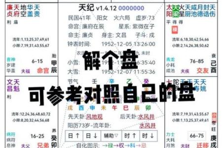 2025年4月10日未时男命紫微斗数全解盘