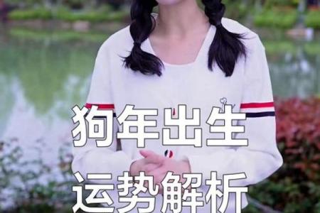 2024属狗人的全年运势 2025属狗人的全年运势
