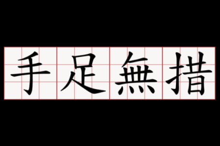 “手足无措”打一动物生肖，手足无措是什么生肖答案解释释义落实