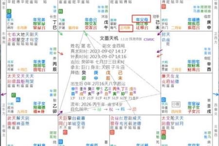 2025年4月5日午时女命紫微斗数全解盘