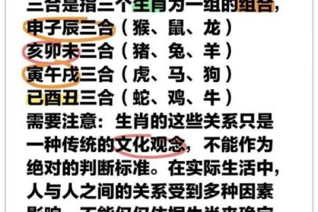 “首当其冲”打一准确动物生肖，首当其冲打一生肖答案解释释义落实