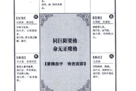 2025年4月9日辰时女命紫微斗数全解盘
