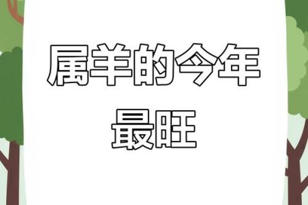2025年属羊人全年运势详解财运事业感情全解析