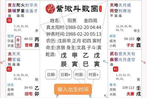 2025年4月26日寅时男命紫微斗数全解盘