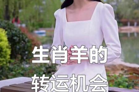 属羊的命运解析好坏如何全面揭秘属羊人的运势