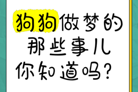 梦到很多狗