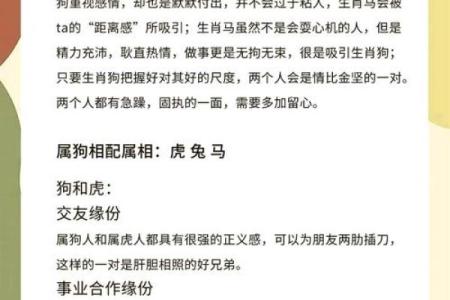1982年狗五行属什么命_1982年狗五行属什么命揭秘属狗人的命运与运势