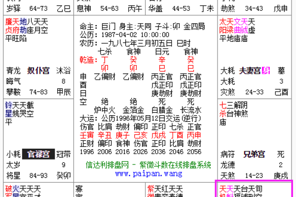 2025年4月12日巳时女命紫微斗数全解盘