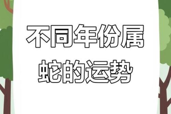 53年属什么