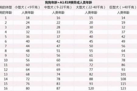 1982年属狗今年多大 1982年属狗今年多大2023年年龄计算与运势解析