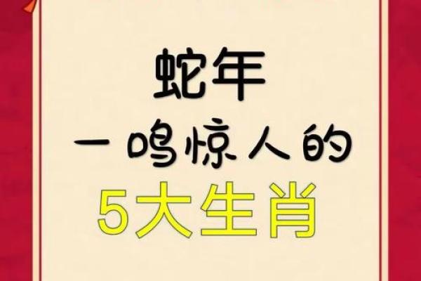 前赴后继是什么生肖