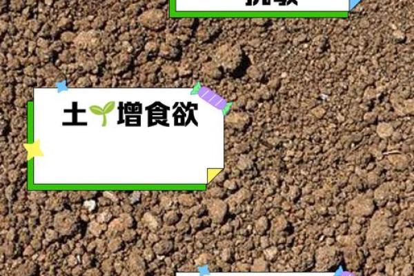 怎么样算动土