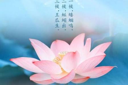 2016年立夏