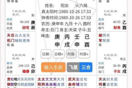 2025年4月26日酉时男命紫微斗数全解盘