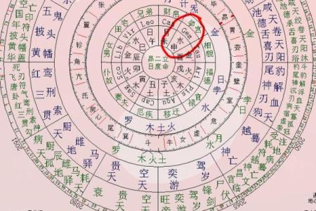 2025年4月24日亥时女命紫微斗数全解盘