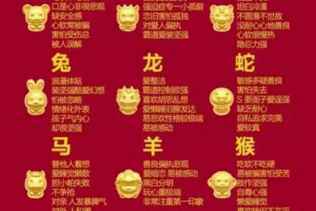 “物归原主”打一准确动物生肖，物归原主是什么生肖答案解释释义落实