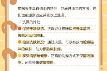 梦见给猫洗澡