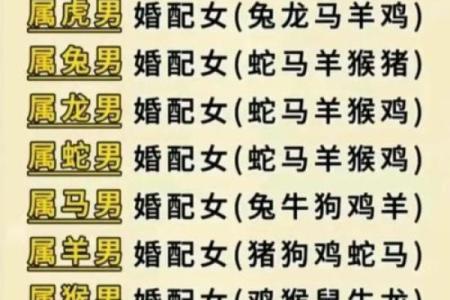 95属猪男最佳婚配指南生肖配对与幸福婚姻秘诀