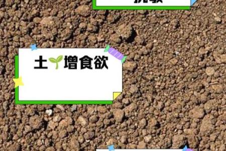 怎么样算动土
