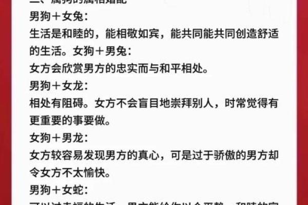 2007年1月属狗还是属猪_2007年属狗几月出生最好