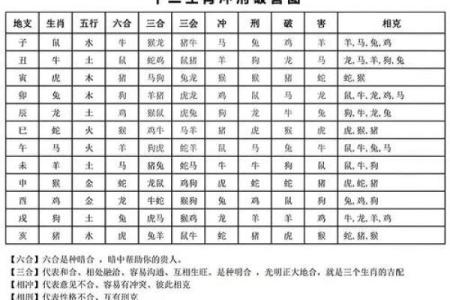 属龙和属羊的合财吗_属龙和属羊合财吗揭秘生肖财运配对奥秘