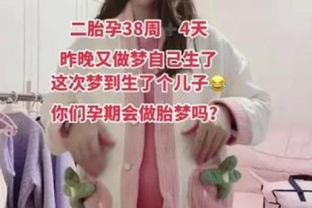 做梦生了个儿子