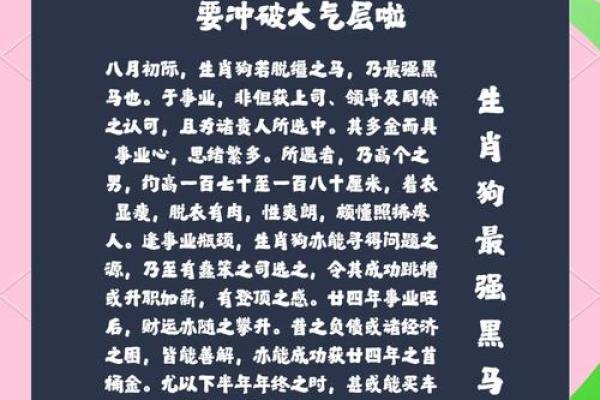 2024年生肖属狗的运势 2024年生肖属狗运势详解财运事业爱情全解析