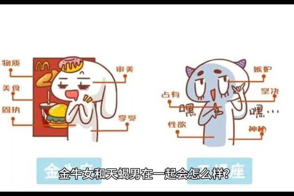 金牛座天蝎座