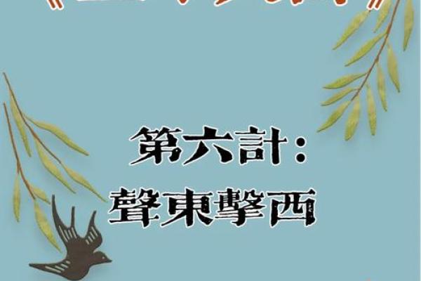 声东击西打一个生肖(声东击西打一最佳答案)