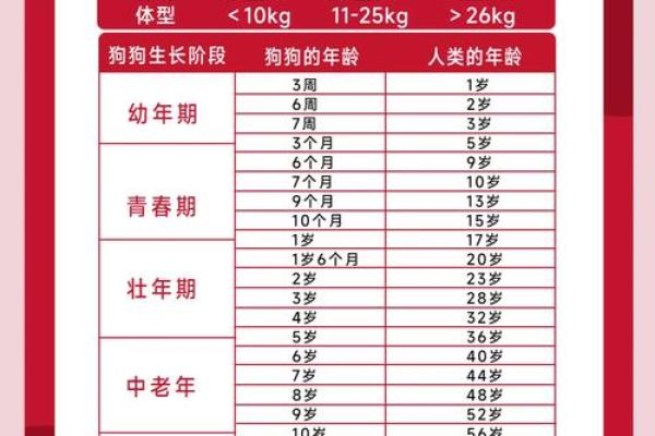 2006年狗五行属什么_2006年狗五行属性