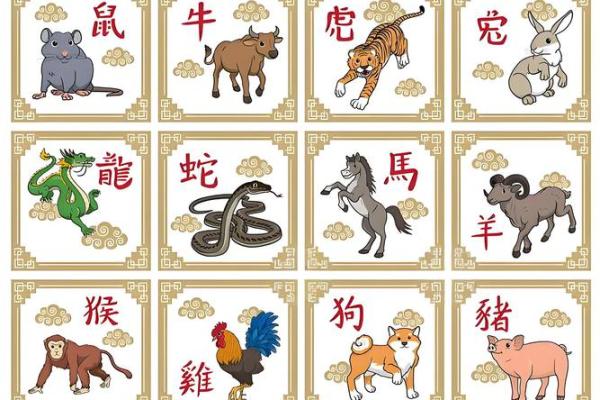 2006属狗男孩一生的命运 2006属狗几岁遇真爱