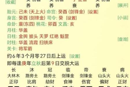 属龙的今年结婚吉日有哪些