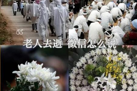 梦到老人去世