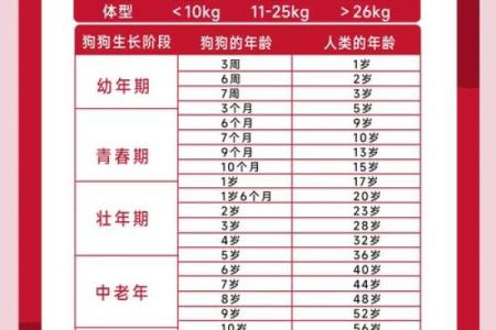 2006年狗五行属什么_2006年狗五行属性