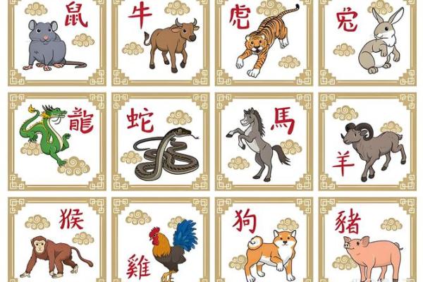 大家闺秀是什么生肖