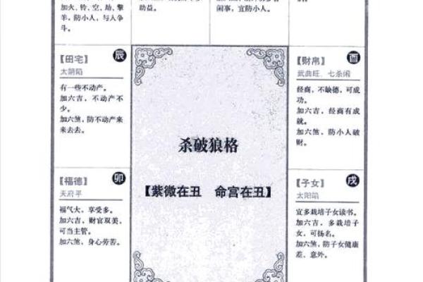 2025年4月17日亥时男命紫微斗数全解盘