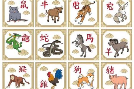 大家闺秀是什么生肖