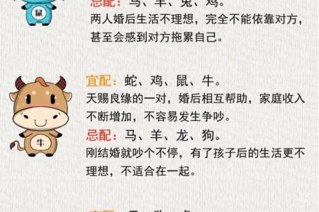 2002年属马最佳婚配属相_2002属马最佳配偶