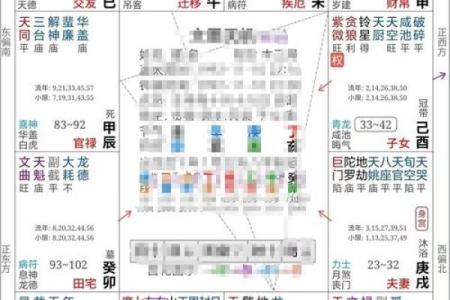 2025年4月14日亥时女命紫微斗数全解盘