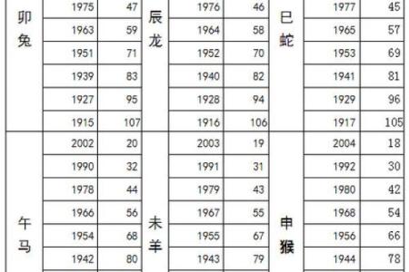 2021什么生肖年
