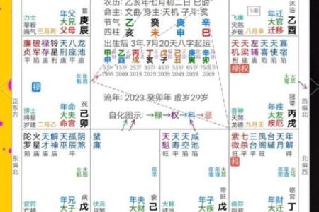 2025年4月29日申时女命紫微斗数全解盘